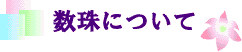 ԋpE~葱
